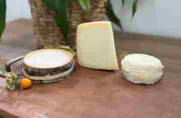 Queijos paranaenses batem produtos de 50 países e são premiados no Mundial da Suíça